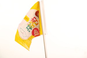 flags  008