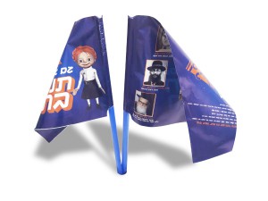 flags  009