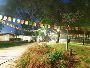 flags  011