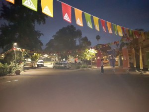 flags  019