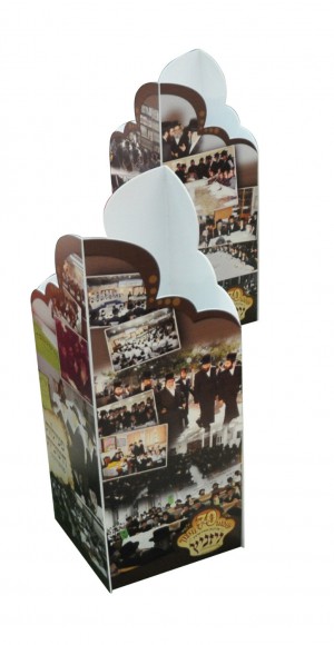 Formal Capa   LEDs  115