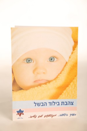 Brochure  145